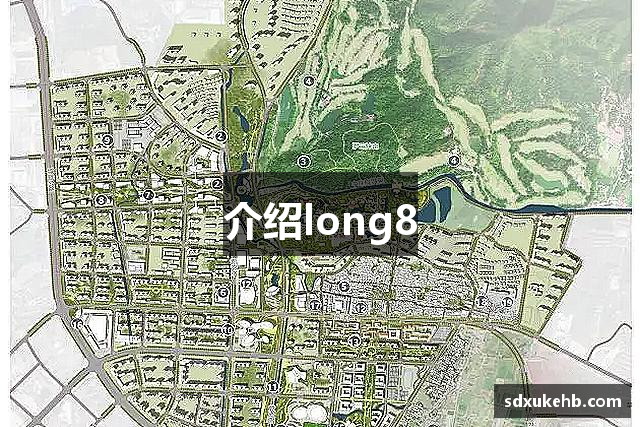 介绍long8